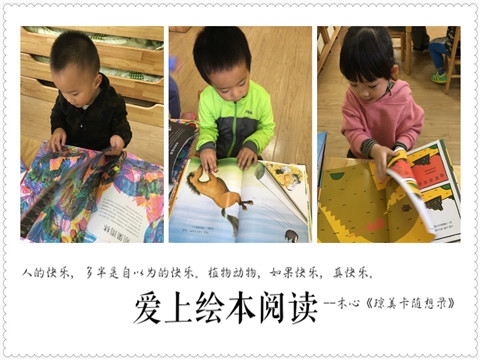 ������IMG_8415_副本.jpg