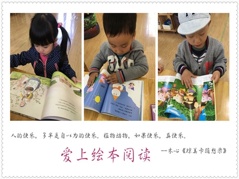 ������IMG_8411_副本.jpg