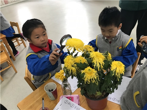 2017-11-21 141336_副本.jpg