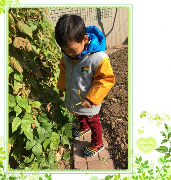 ������IMG_8350.jpg