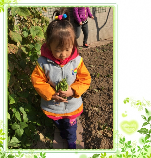 ������IMG_8366.jpg