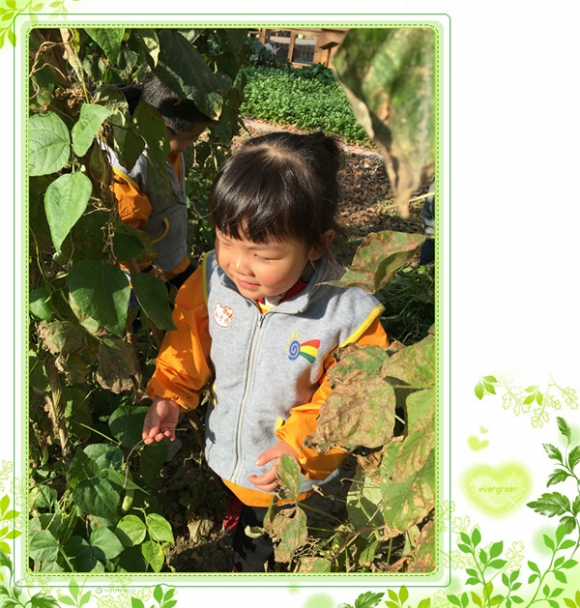 ������IMG_8371.jpg