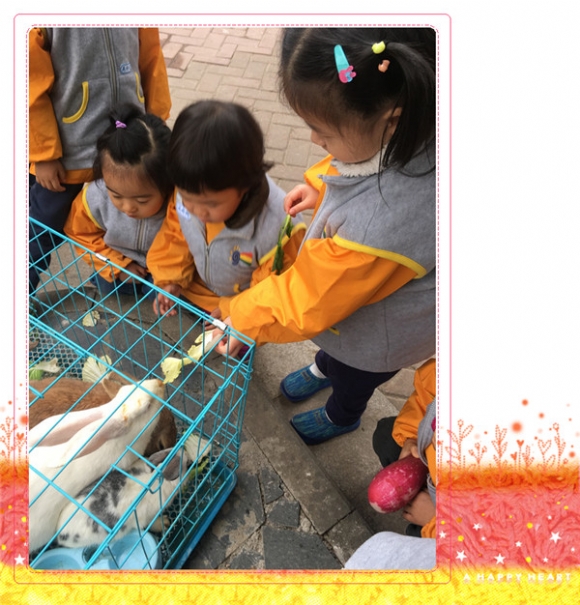 ������IMG_4784_副本.jpg