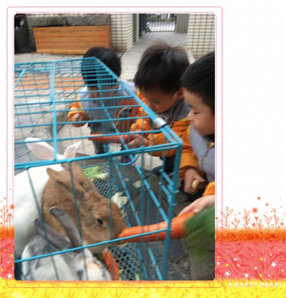 ������IMG_4792_副本.jpg