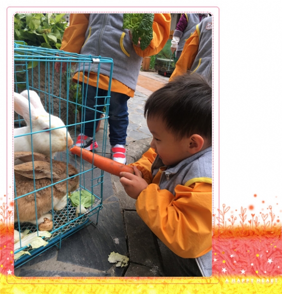 ������IMG_4809_副本.jpg