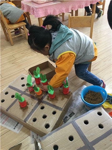 ������IMG_8609.JPG