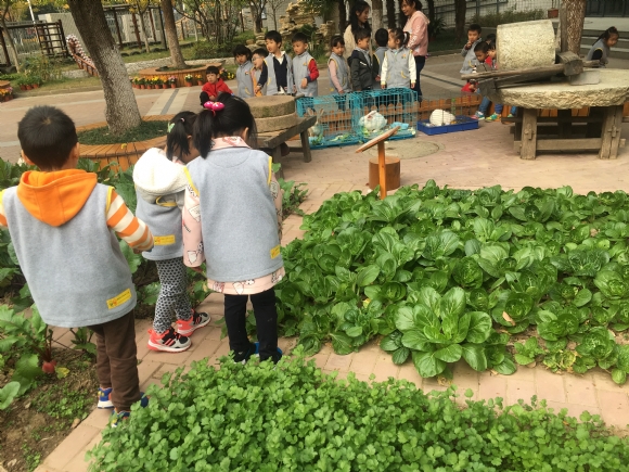 ������IMG_2910.JPG