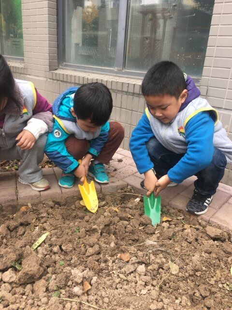 ������QQ图片20080101023255.jpg
