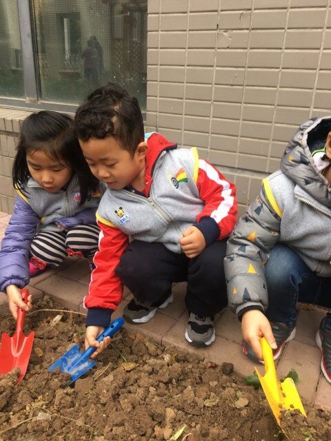 ������QQ图片20080101021649.jpg