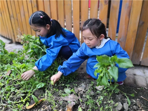 微信图片_201804041343055_副本.jpg