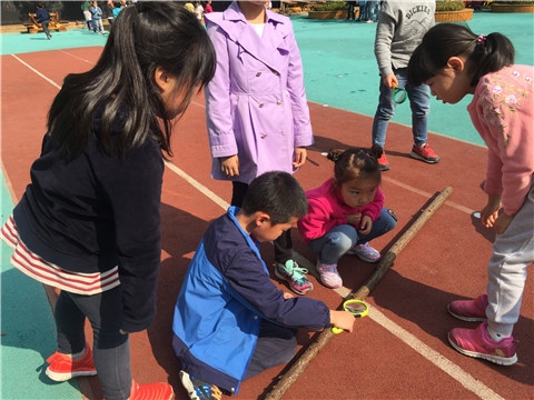 微信图片_20180503105016.jpg