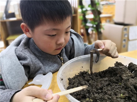 微信图片_201805031055321.jpg