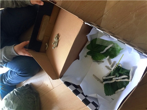 ������微信图片_201805031050371.jpg