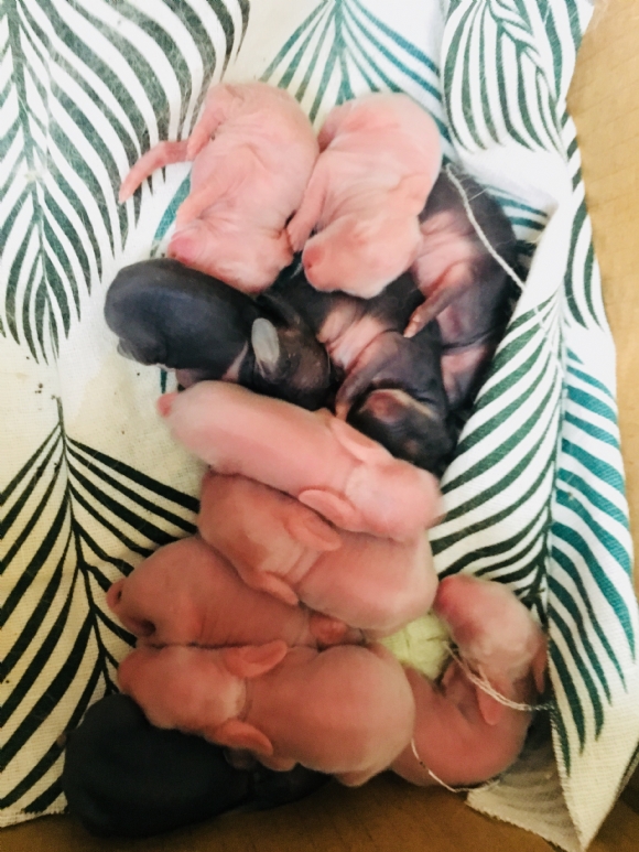 ΢ͼƬ_20180507100500.jpg