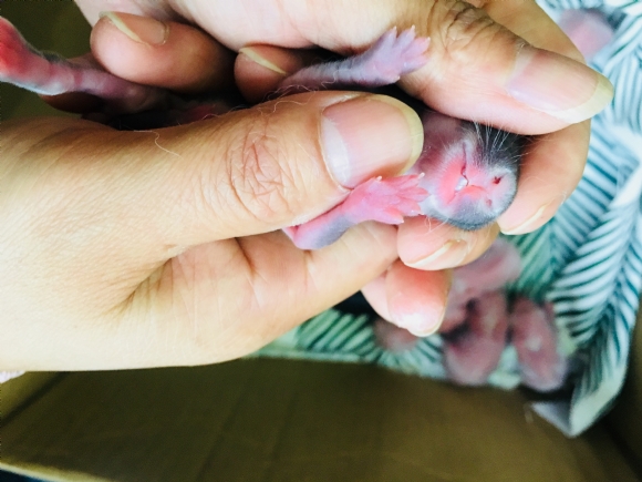 ΢ͼƬ_20180507100728.jpg