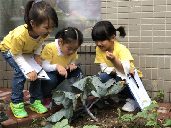 ������微信图片_20180522160645.jpg
