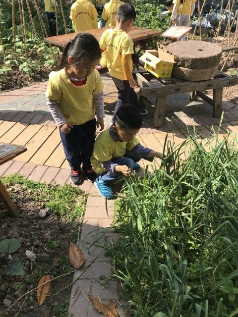������QQ图片20180523091832.jpg