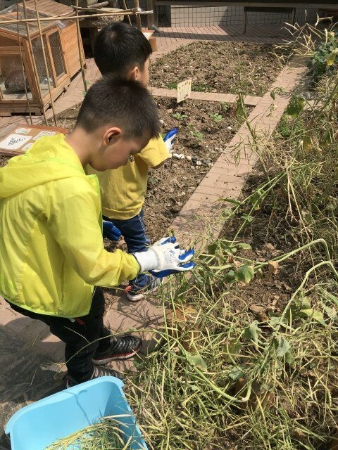������QQ图片20180523091813.jpg