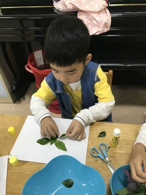 ������QQ图片20180523091756.jpg