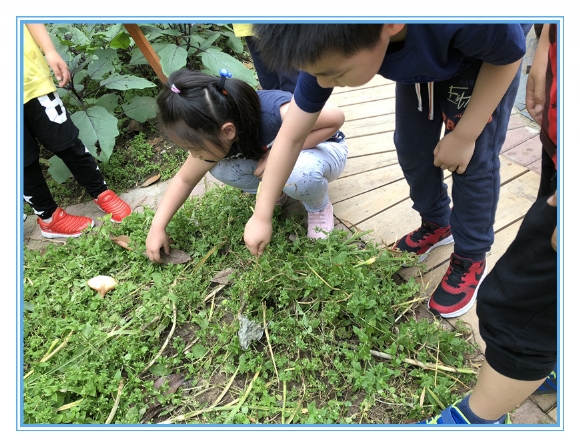 微信图片_20180607150840.jpg