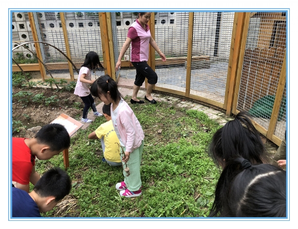 微信图片_20180607150828.jpg