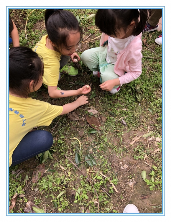 微信图片_20180607150946.jpg