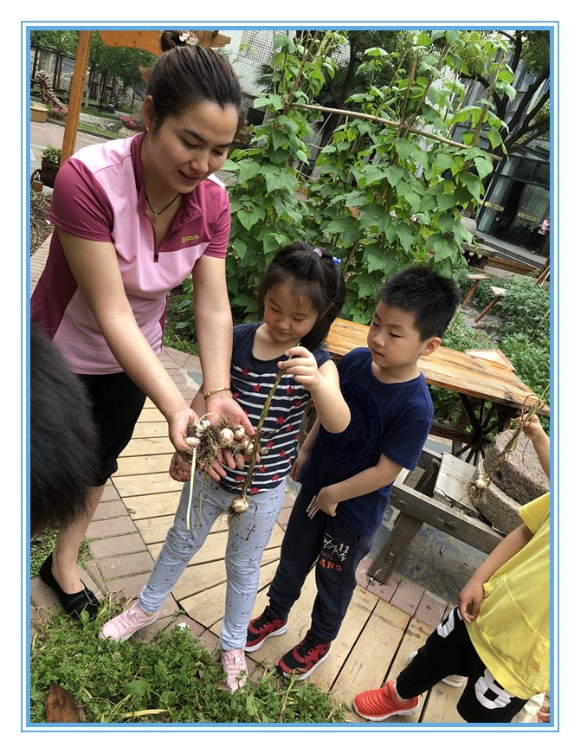 微信图片_20180607150926.jpg