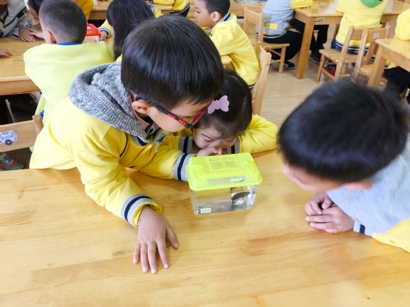 IMG_20181113_092549.jpg