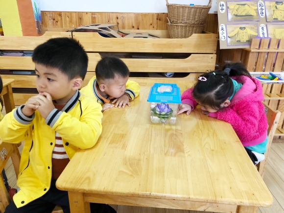 IMG_20181113_092645.jpg