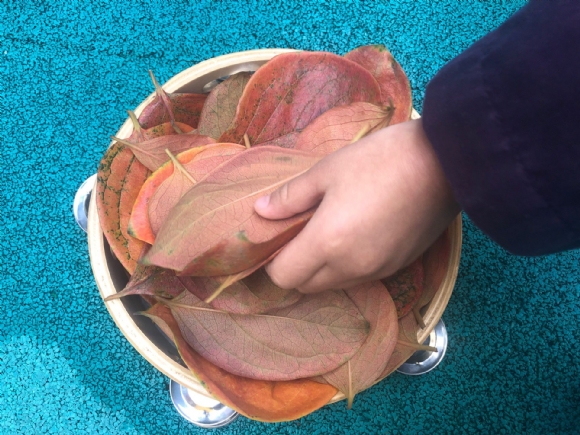 ������QQ图片20181118210929.jpg