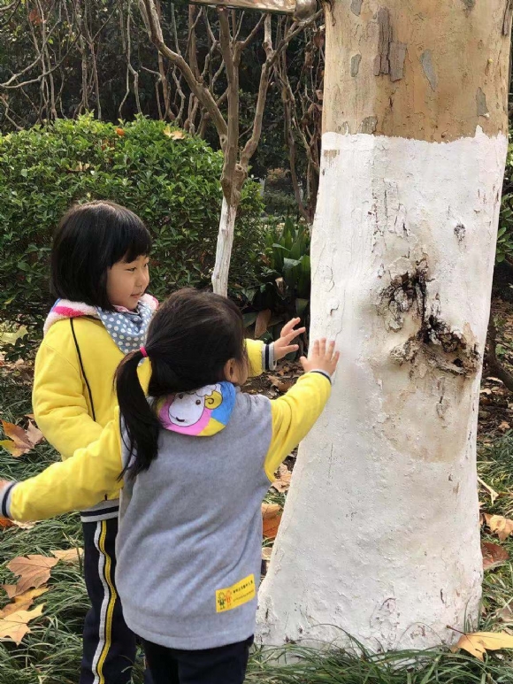 ������΢��ͼƬ_20181126164911.jpg