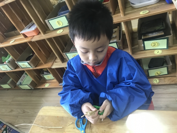 ������IMG_6906.JPG