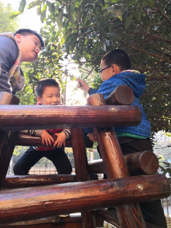 微信图片_201812181620222.jpg