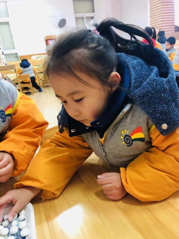 ������微信图片_201902191626493.jpg