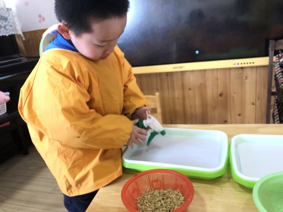 ������IMG_6018.JPG