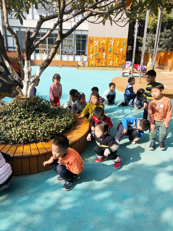 IMG_20190329_110253.jpg