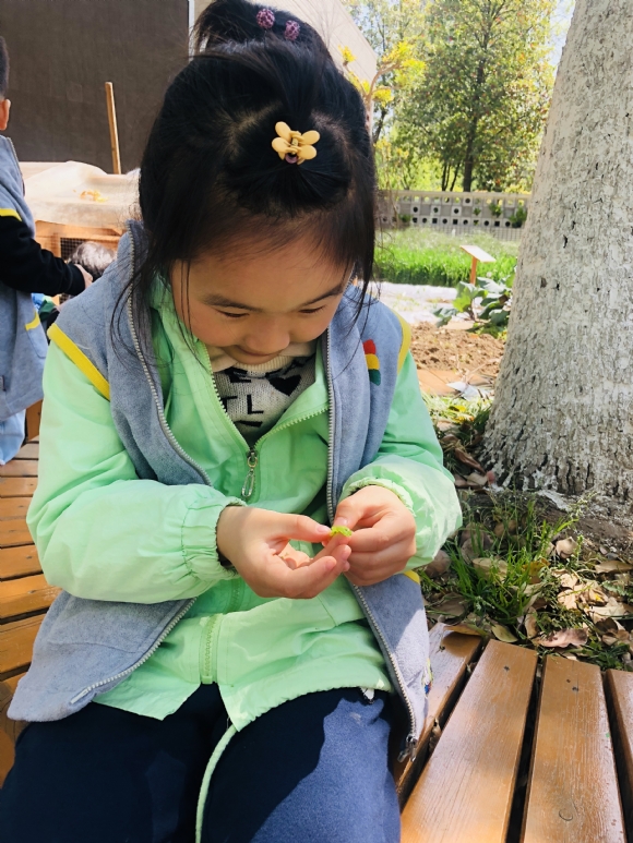 IMG_2437(20190415-101645).jpg