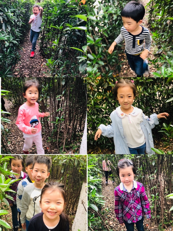 ������΢��ͼƬ_20190505161857.jpg