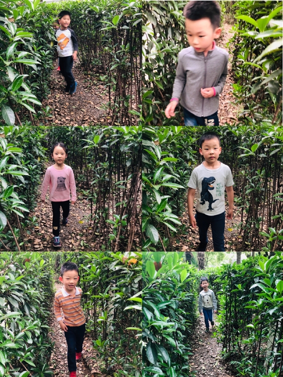 ������΢��ͼƬ_201905051618571.jpg