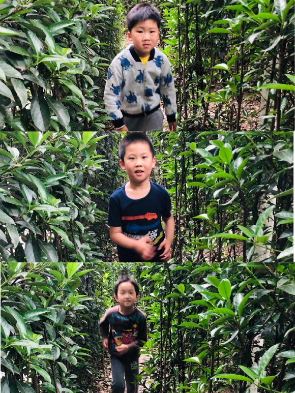 ������΢��ͼƬ_201905051618572.jpg