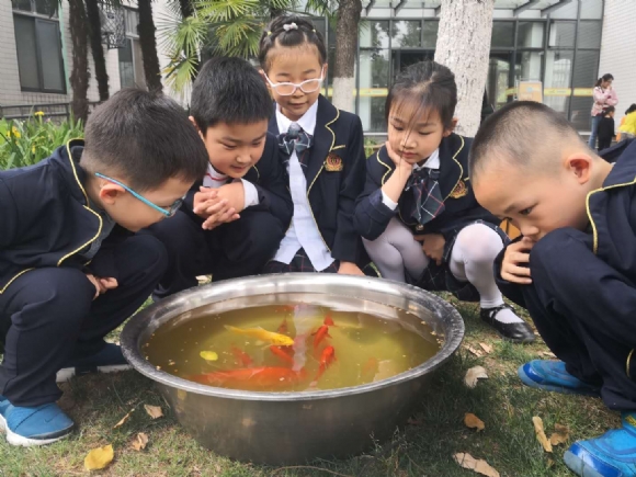 微信图片_20190507122344.jpg
