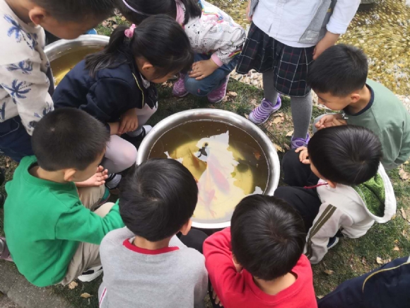 微信图片_201905071223443.jpg