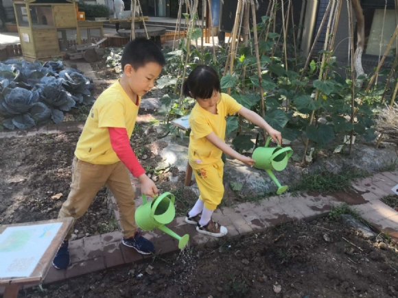 微信图片_2019053020025623.jpg
