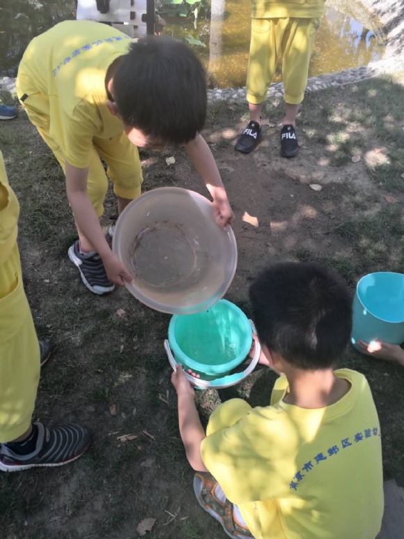 微信图片_2019053020025615.jpg