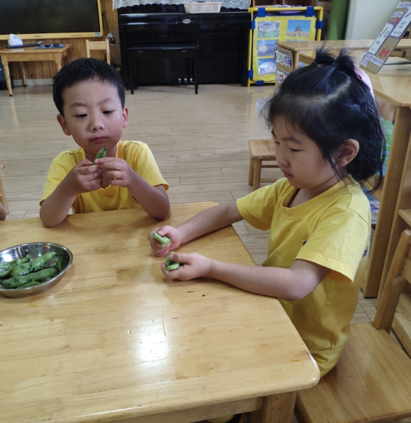 IMG_20190605_160054.jpg