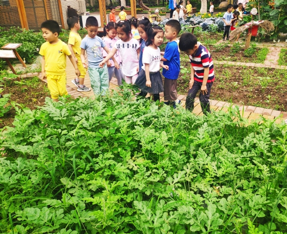 IMG_20190624_153018.jpg