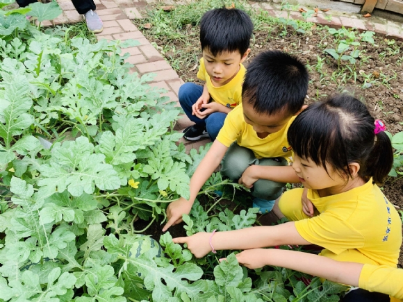 ������IMG_8946(20190619-114635)_副本.jpg