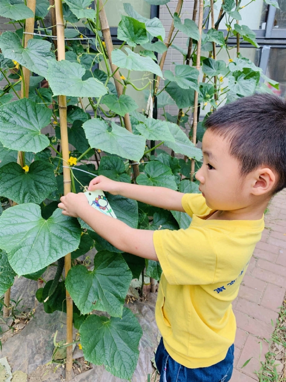������IMG_8707(20190618-234050)_副本.jpg