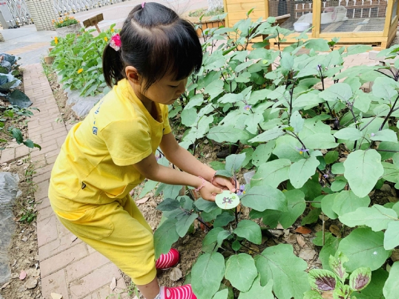 ������IMG_8712(20190617-215934)_副本.jpg