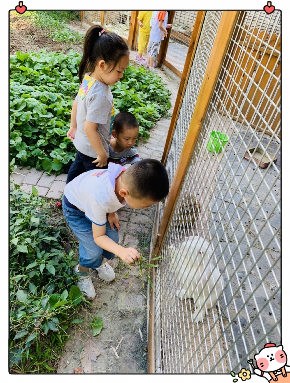 IMG_9411(20190920-151810).jpg